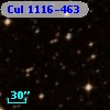 Cul 1116-463