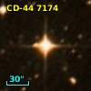 CD-44  7174