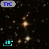 TYC 8213-1977-1