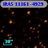 IRAS 11161-4929