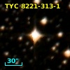 TYC 8221-313-1