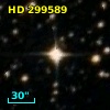HD 299589