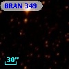 BRAN 349