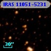 IRAS 11051-5231