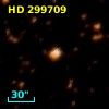 HD 299709