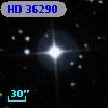 HD  36290