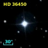 HD  36450