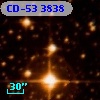 CD-53  3838