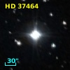 HD  37464