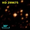 HD 299675
