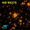 HD  95275