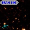 BRAN 346