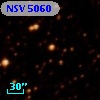 NSV  5060