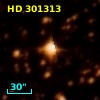 HD 301313