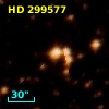 HD 299577