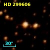 HD 299606
