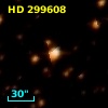 HD 299608