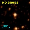 HD 299616