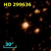 HD 299636
