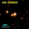 HD 299665