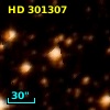 HD 301307
