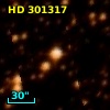 HD 301317