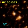 HD 301377