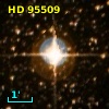 HD  95509