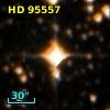 HD  95557