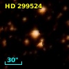 HD 299524