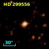 HD 299556