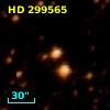 HD 299565