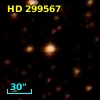 HD 299567