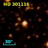 HD 301116