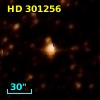 HD 301256