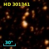 HD 301341