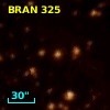 BRAN 325