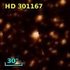 HD 301167