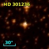 HD 301236