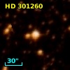HD 301260