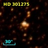HD 301275