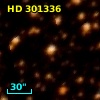 HD 301336