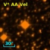 V* AA Vel
