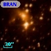 BRAN 324
