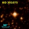 HD 301075