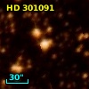 HD 301091