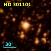 HD 301101