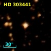 HD 303441