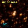 HD 303614