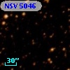 NSV  5046